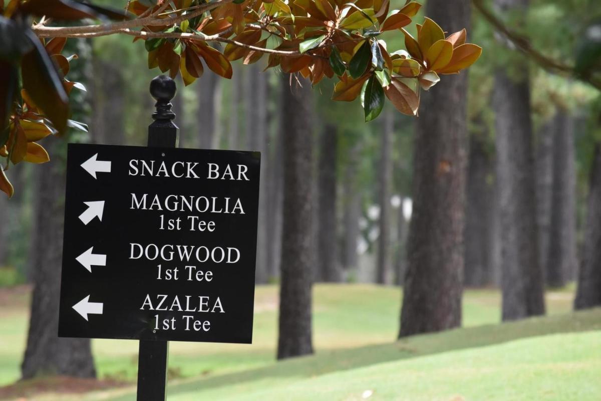 Popular attractions Area Nearby Property